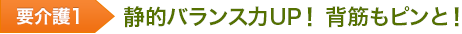 要介護1 静的バランス力UP! 背筋もピンと!