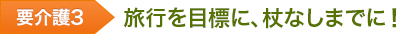 要介護3 旅行を目標に、杖なしまでに!