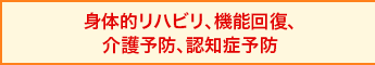 身体的リハビリ、機能回復、介護予防、認知症予防